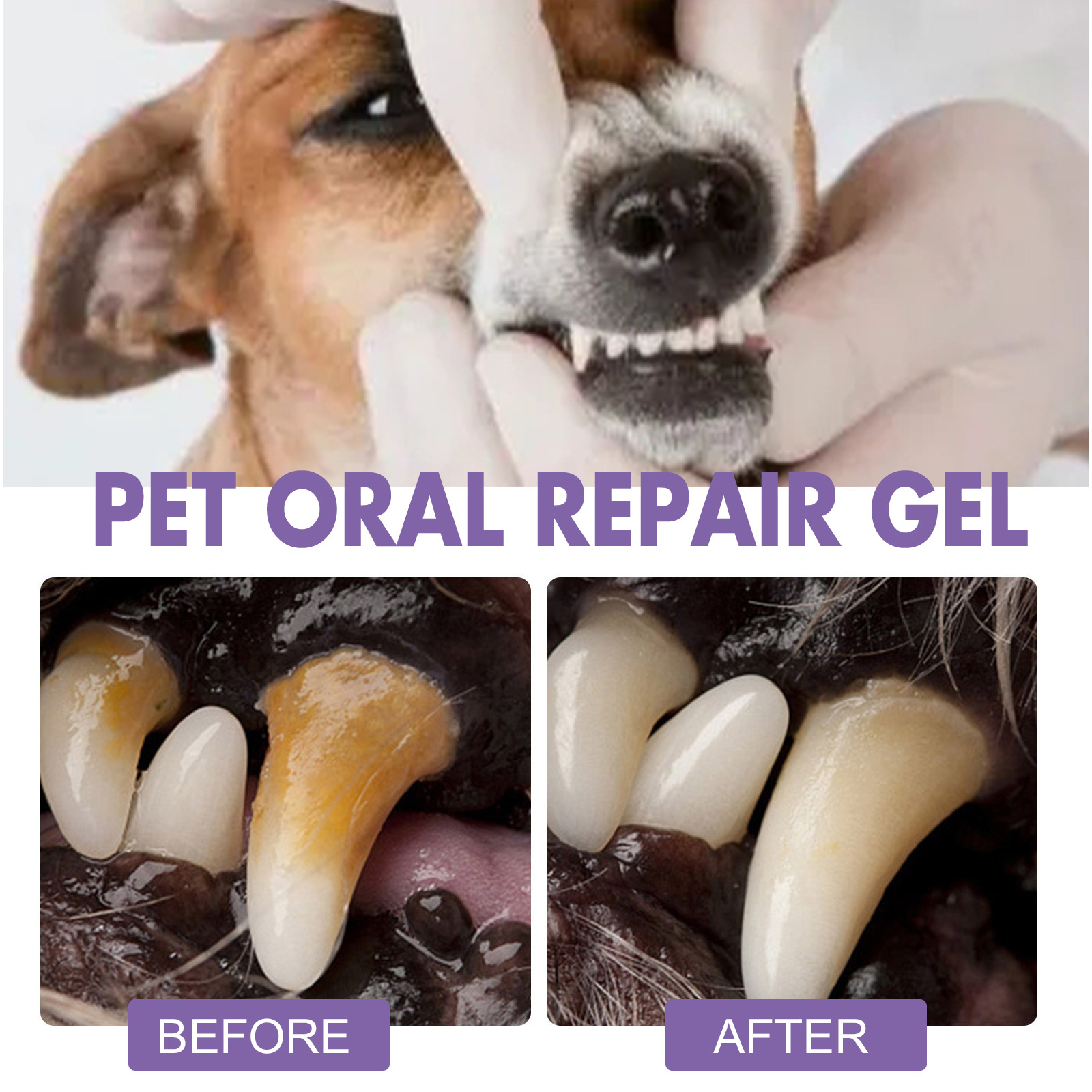 ペット口腔修復ジェル子犬歯石除去消臭剤白くする猫犬歯ステイン - Teeth Whitening Cream のレビューと価格
